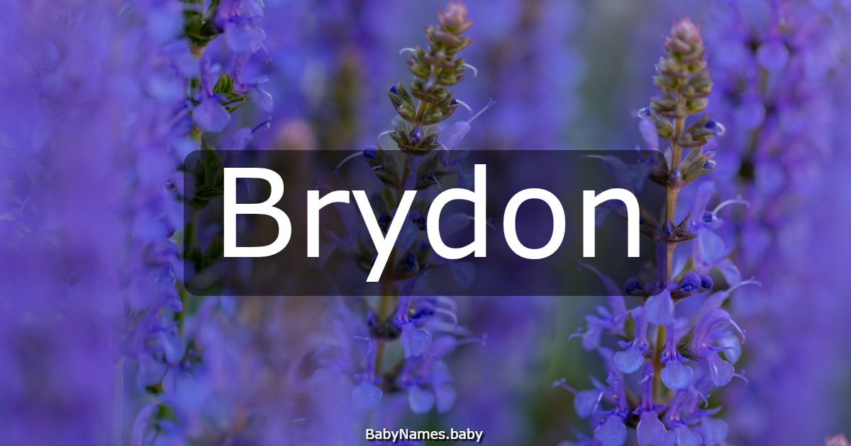Brydon