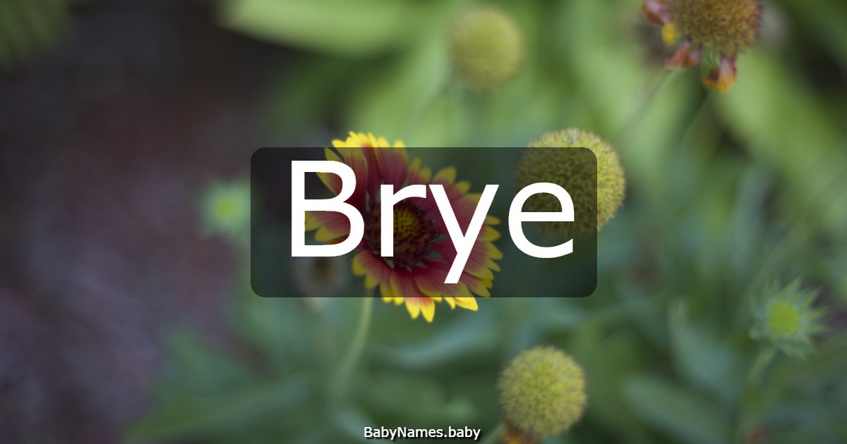 Brye
