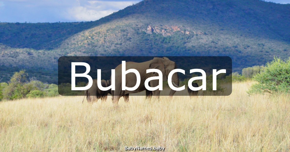Bubacar