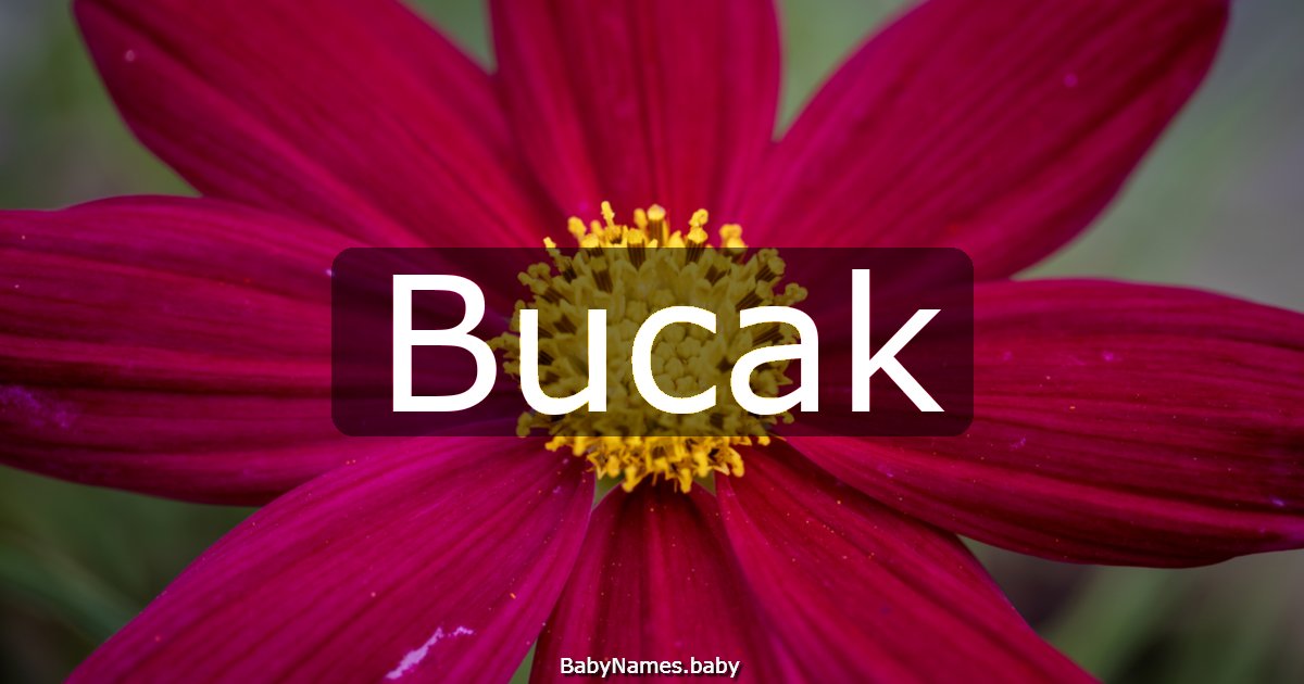 Bucak