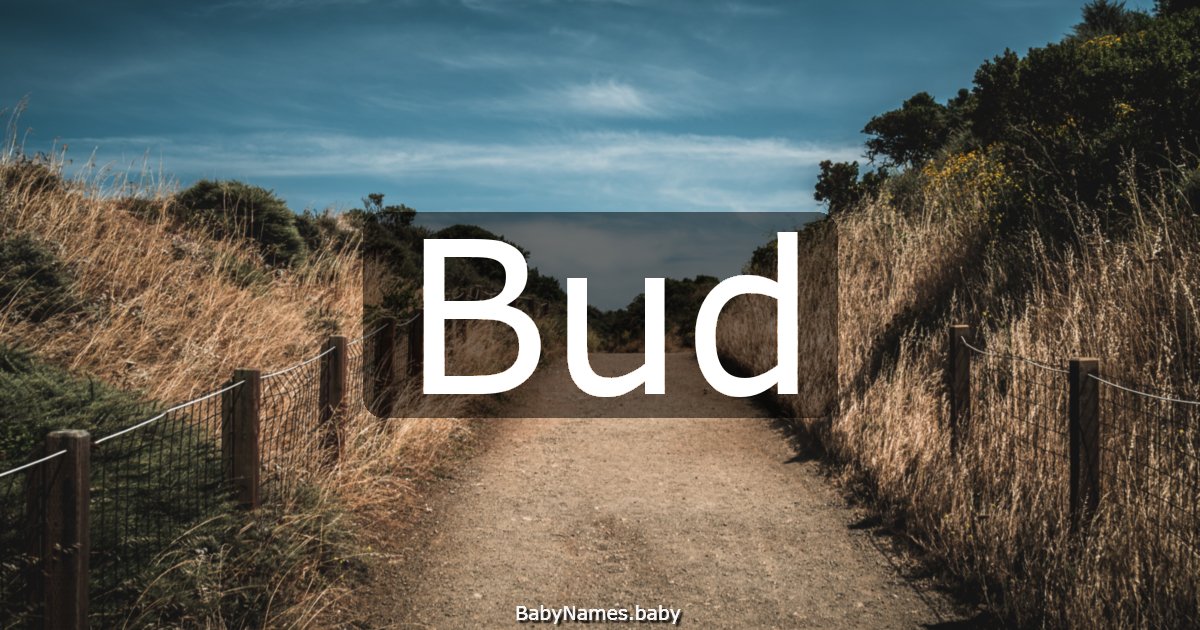 Bud