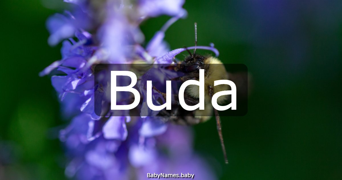 Buda