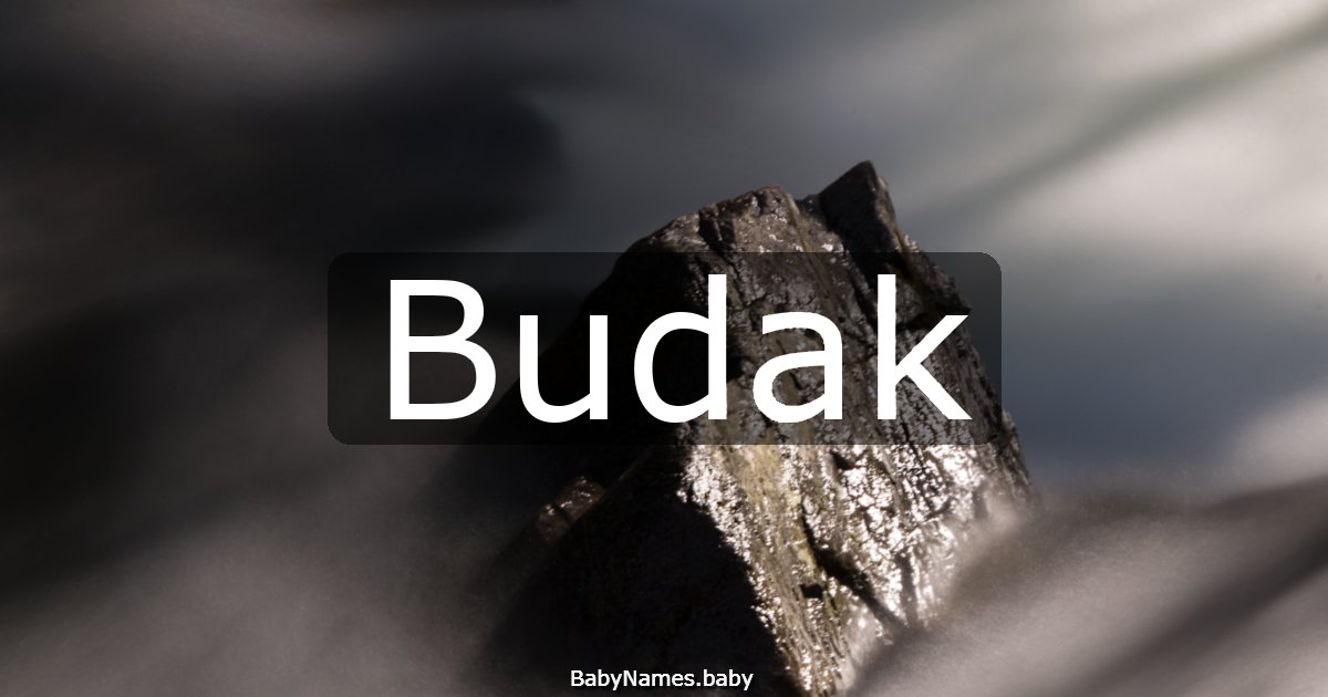 Budak