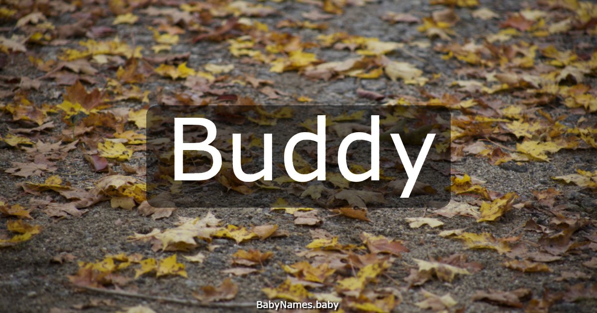 Buddy