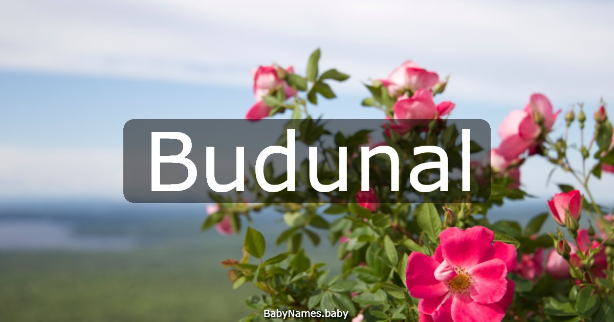 Budunal