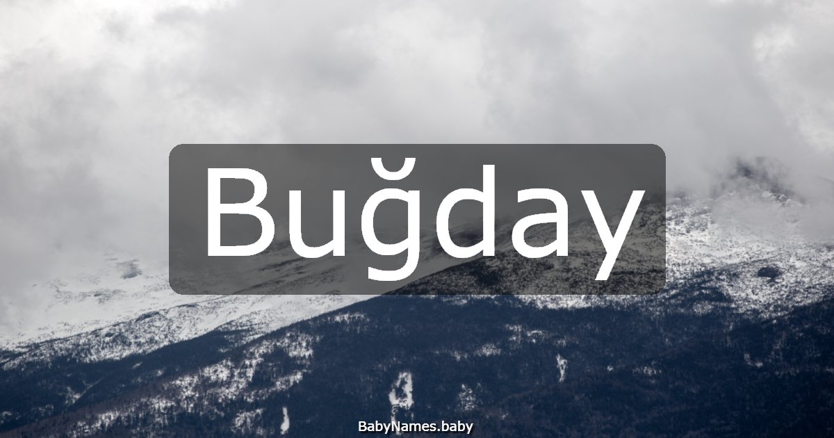 Buğday