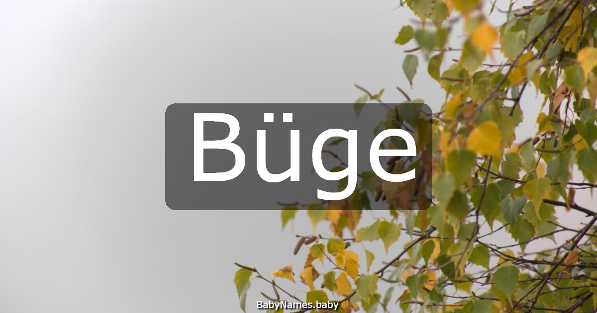 Büge