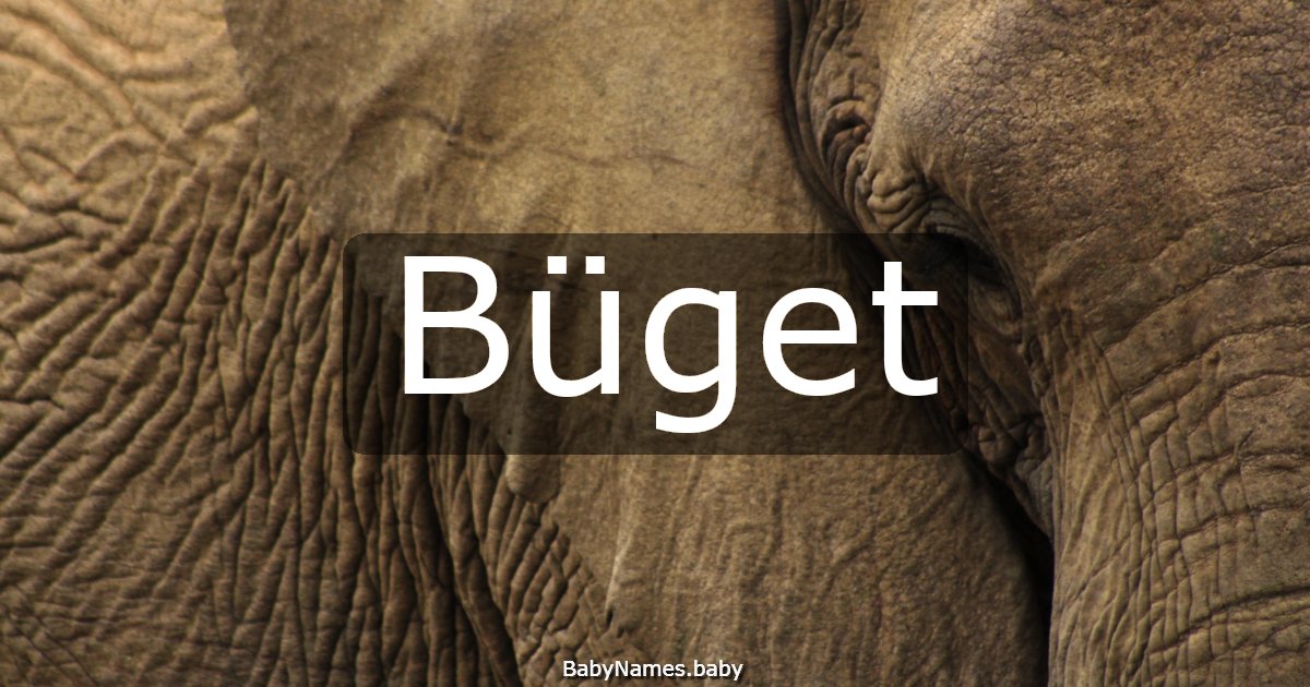 Büget