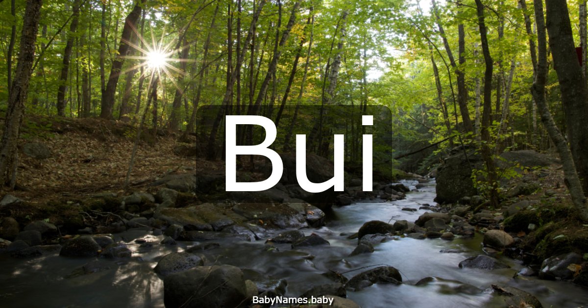 Bui