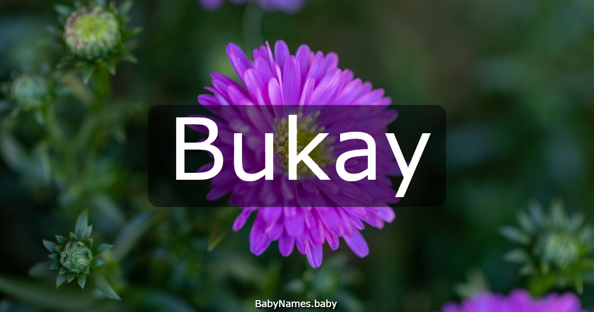 Bukay