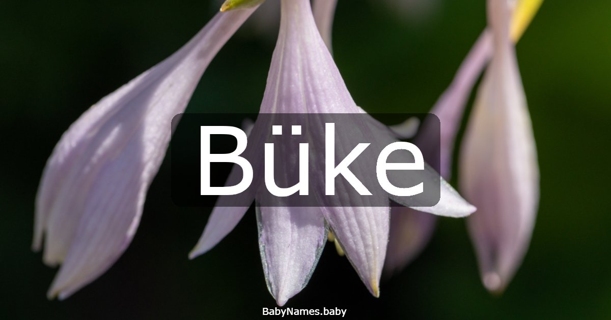 Büke