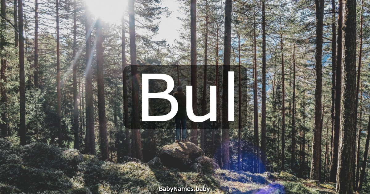 Bul