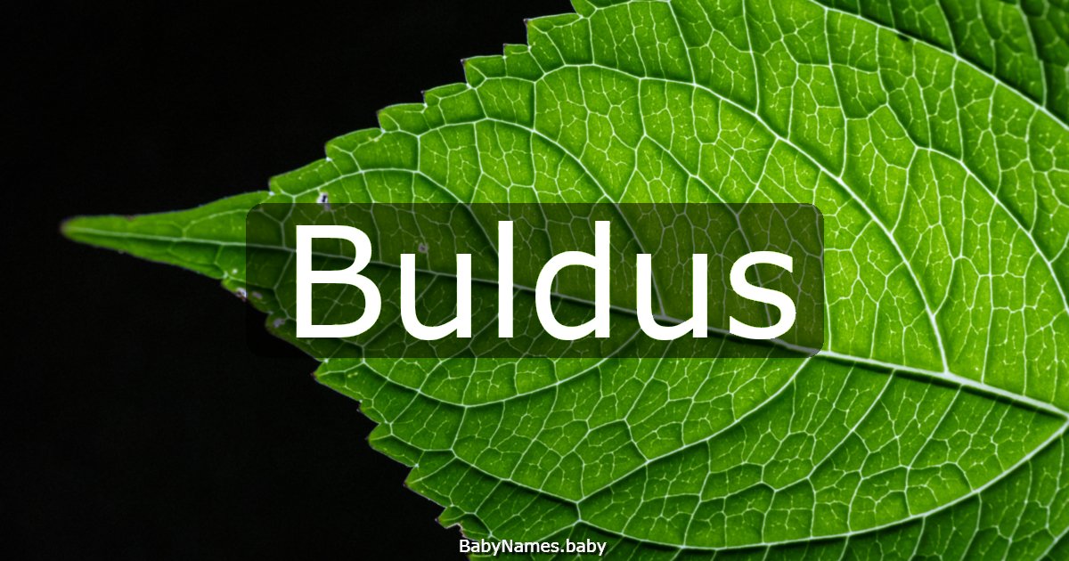 Buldus