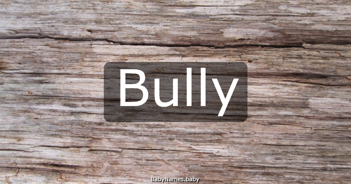Bully