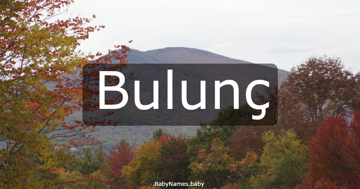 Bulunç