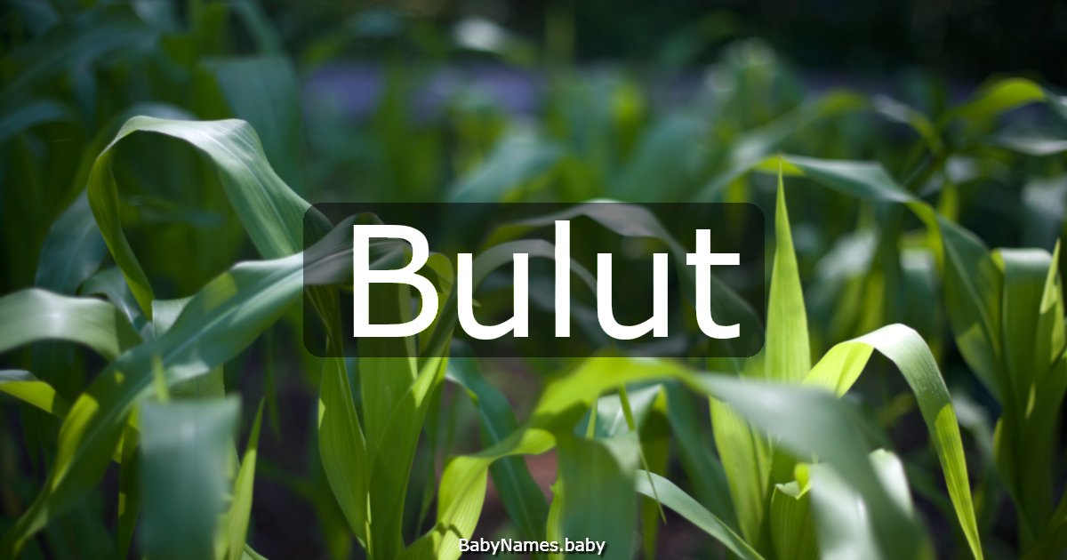 Bulut