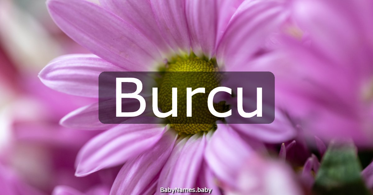 Burcu