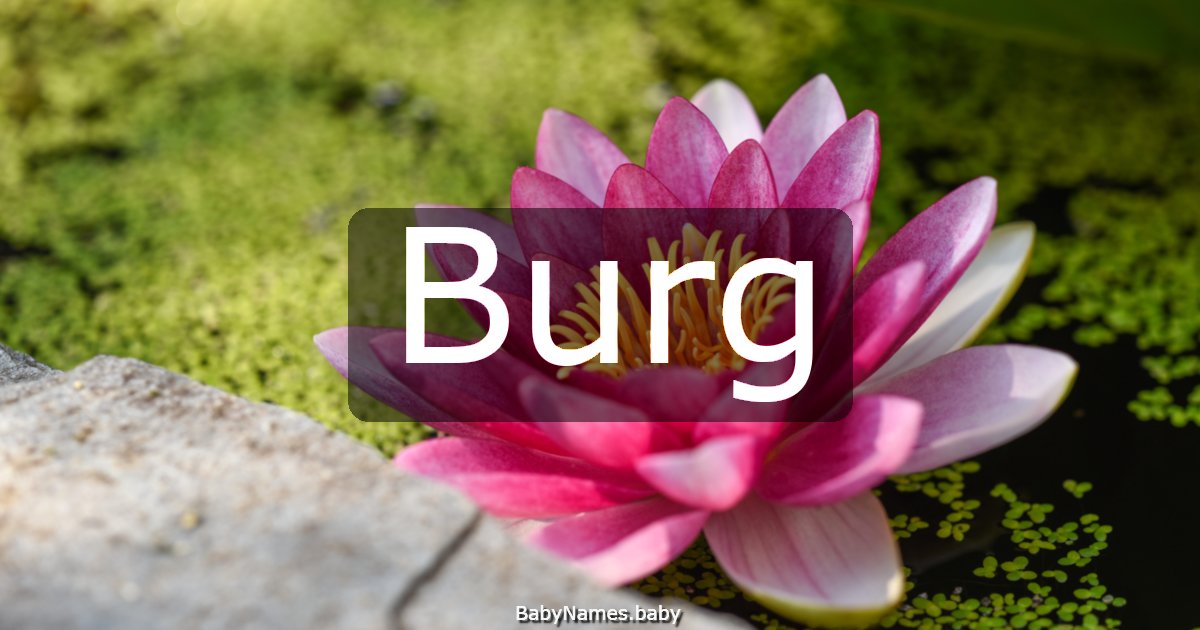 Burg