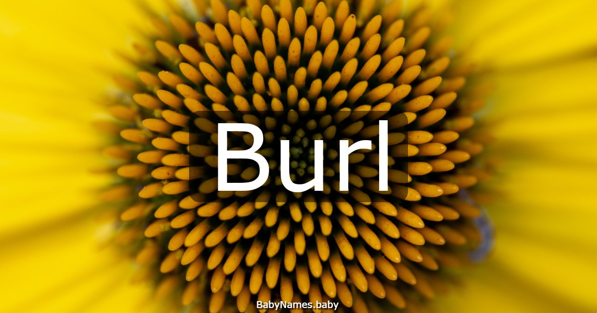 Burl