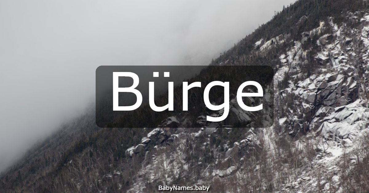 Bürge