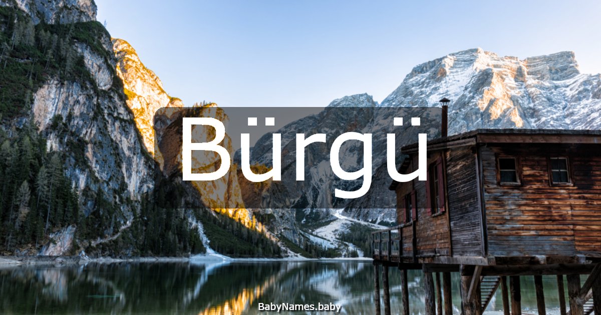 Bürgü