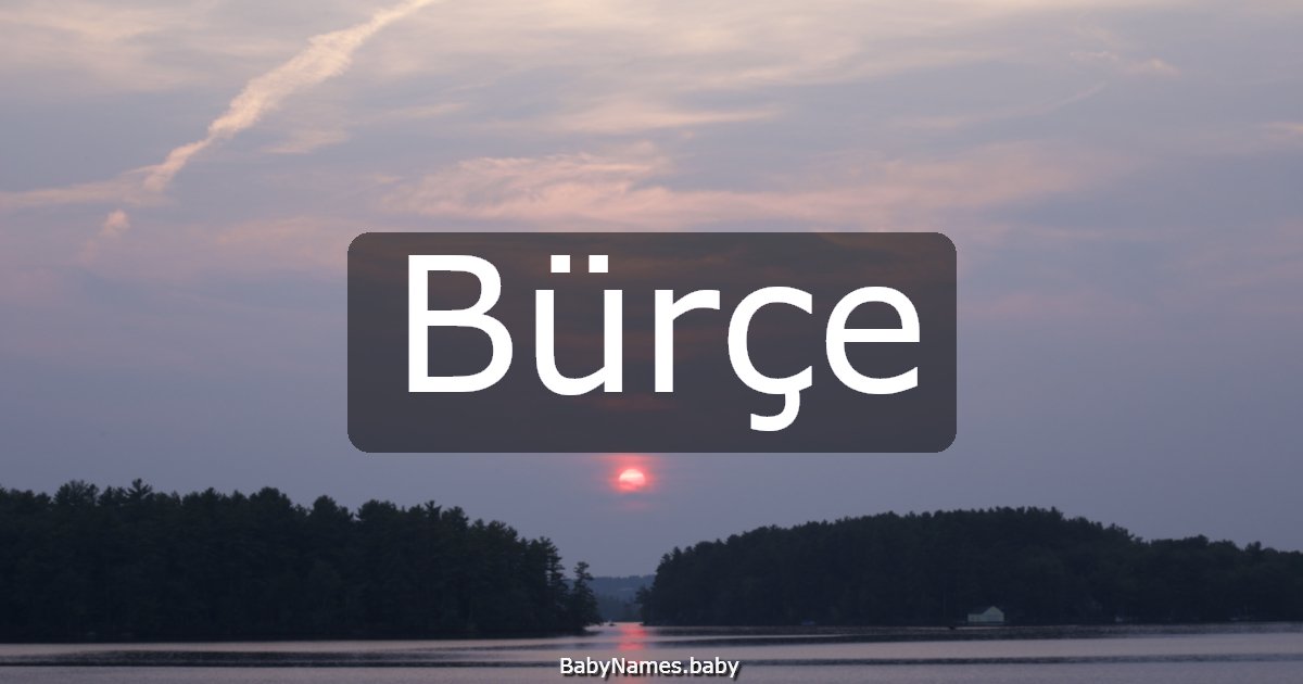Bürçe