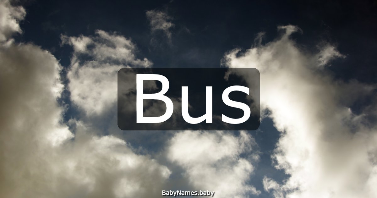 Bus