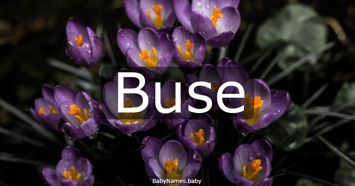 Buse