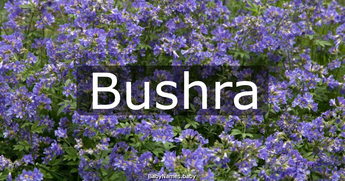 Bushra