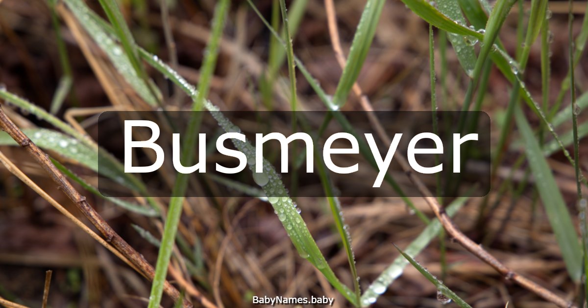 Busmeyer
