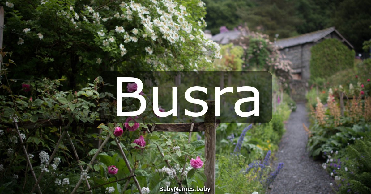 Busra
