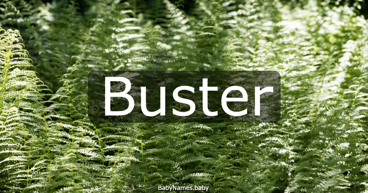 Buster