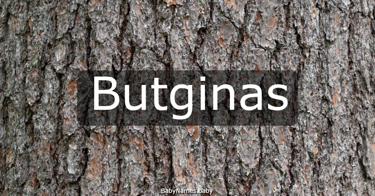 Butginas
