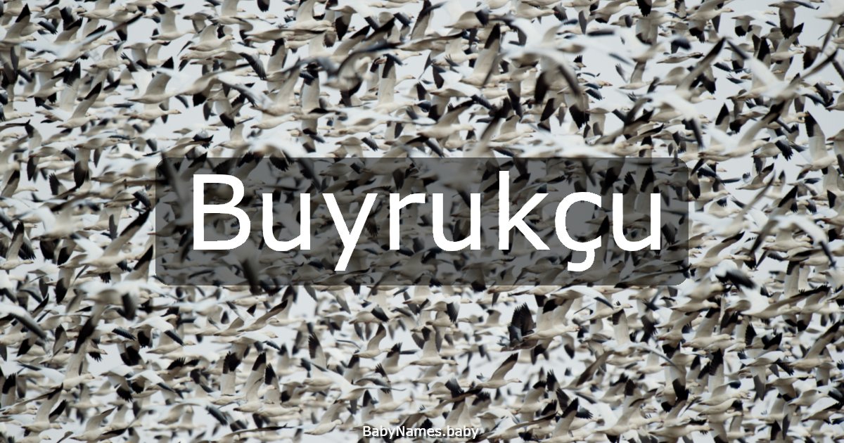 Buyrukçu