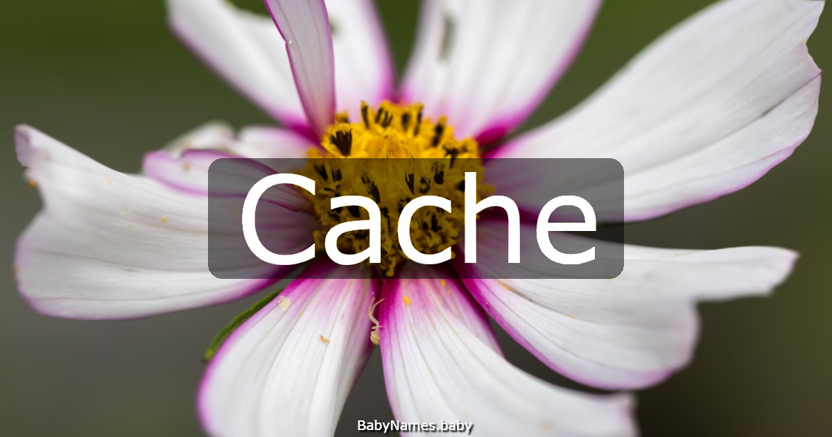 Cache