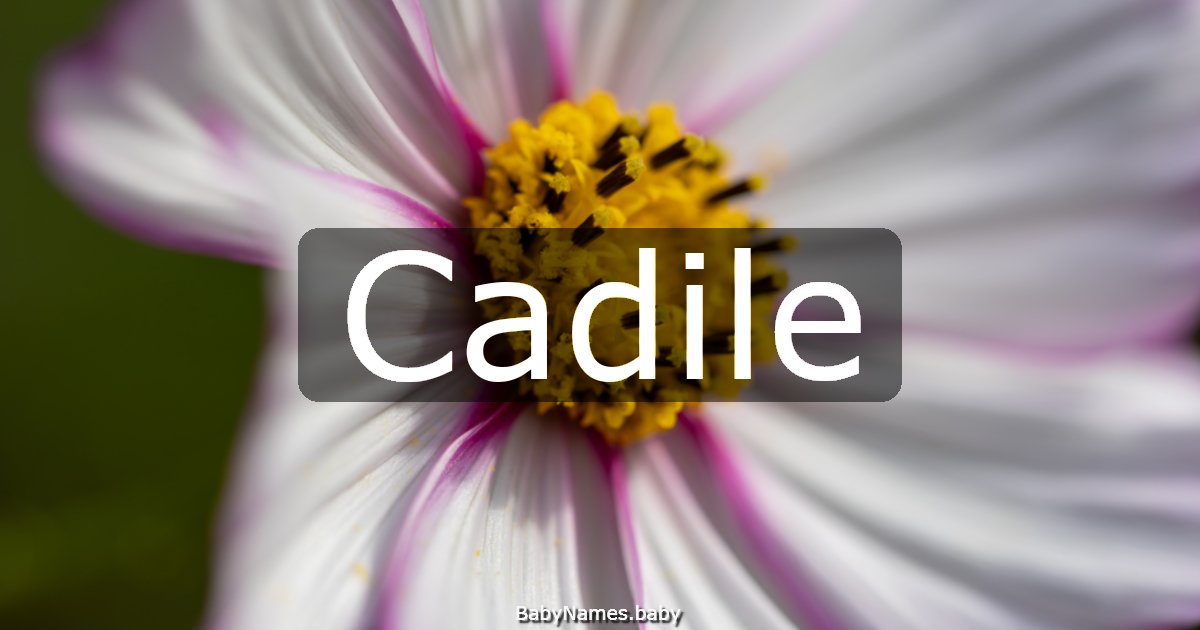 Cadile