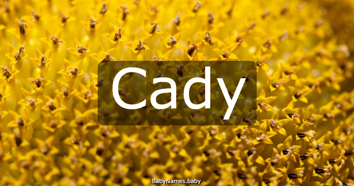 Cady