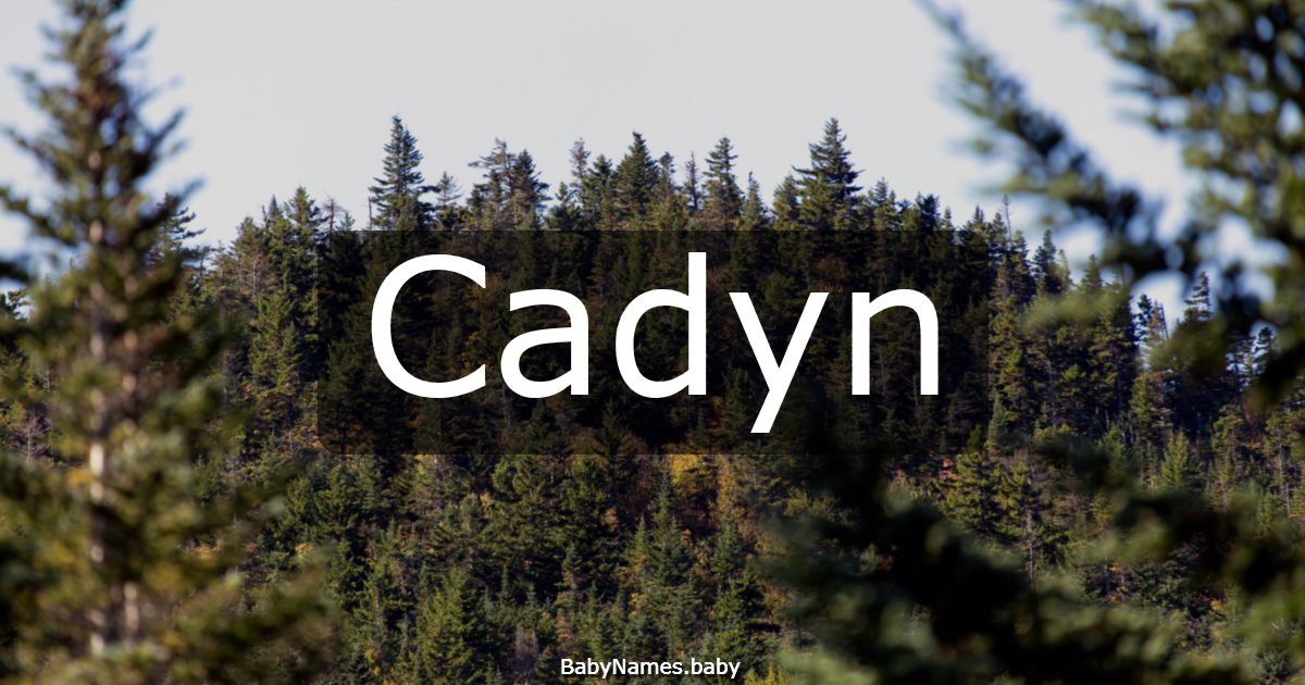Cadyn