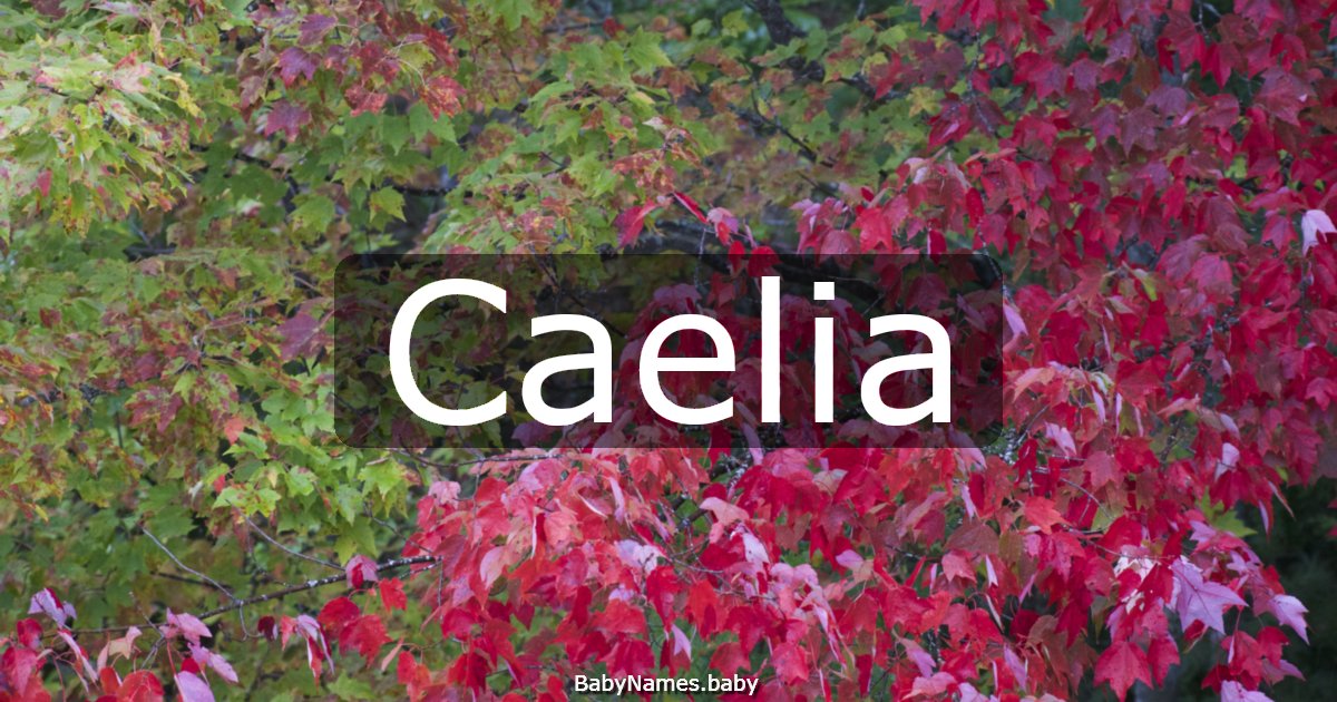 Caelia
