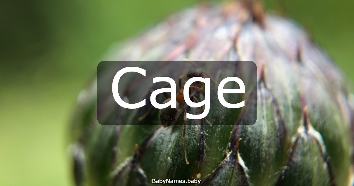 Cage