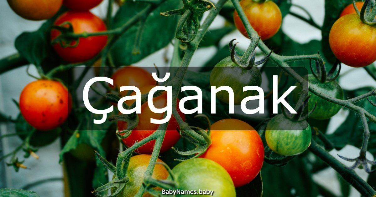 Çağanak