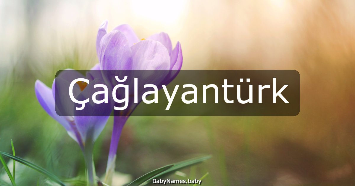 Çağlayantürk