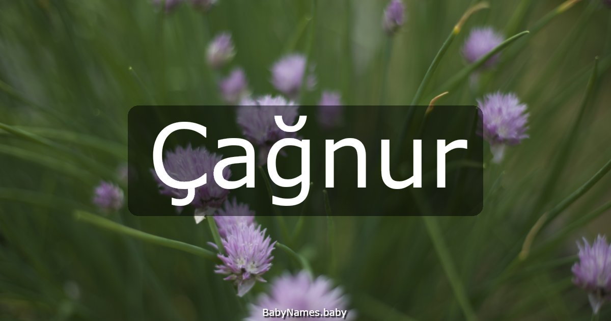 Çağnur