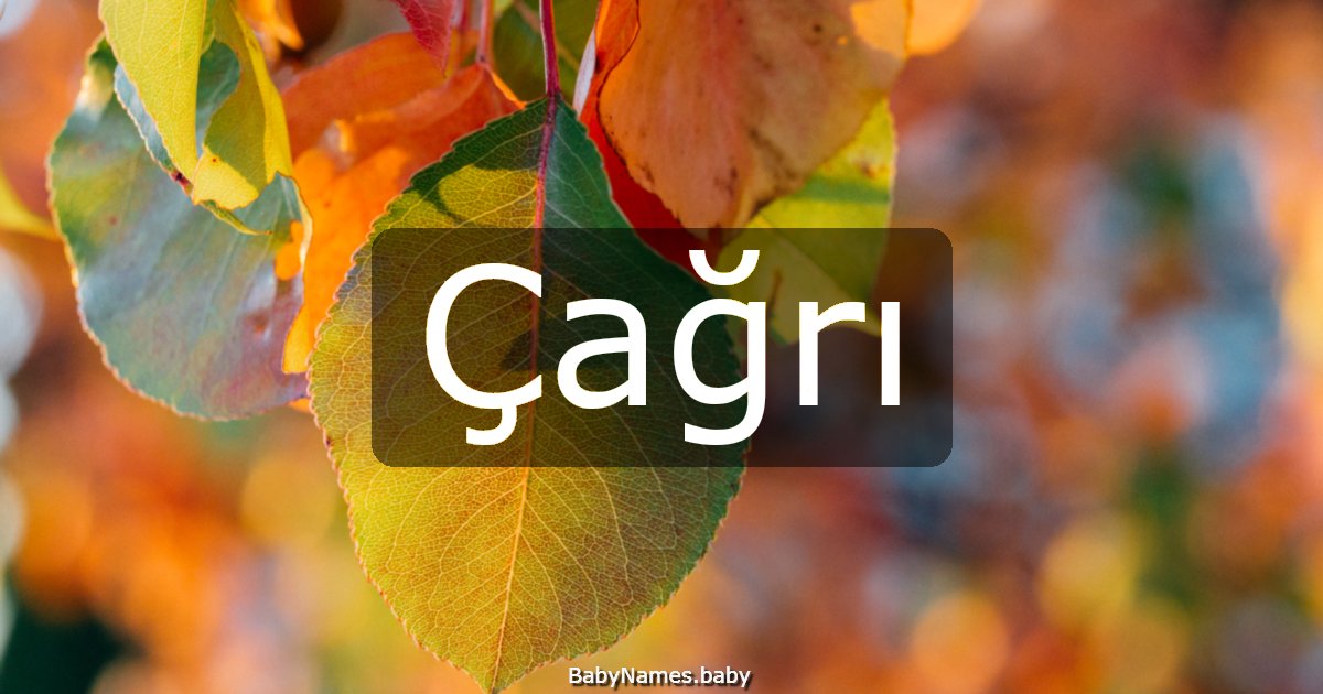 Çağrı