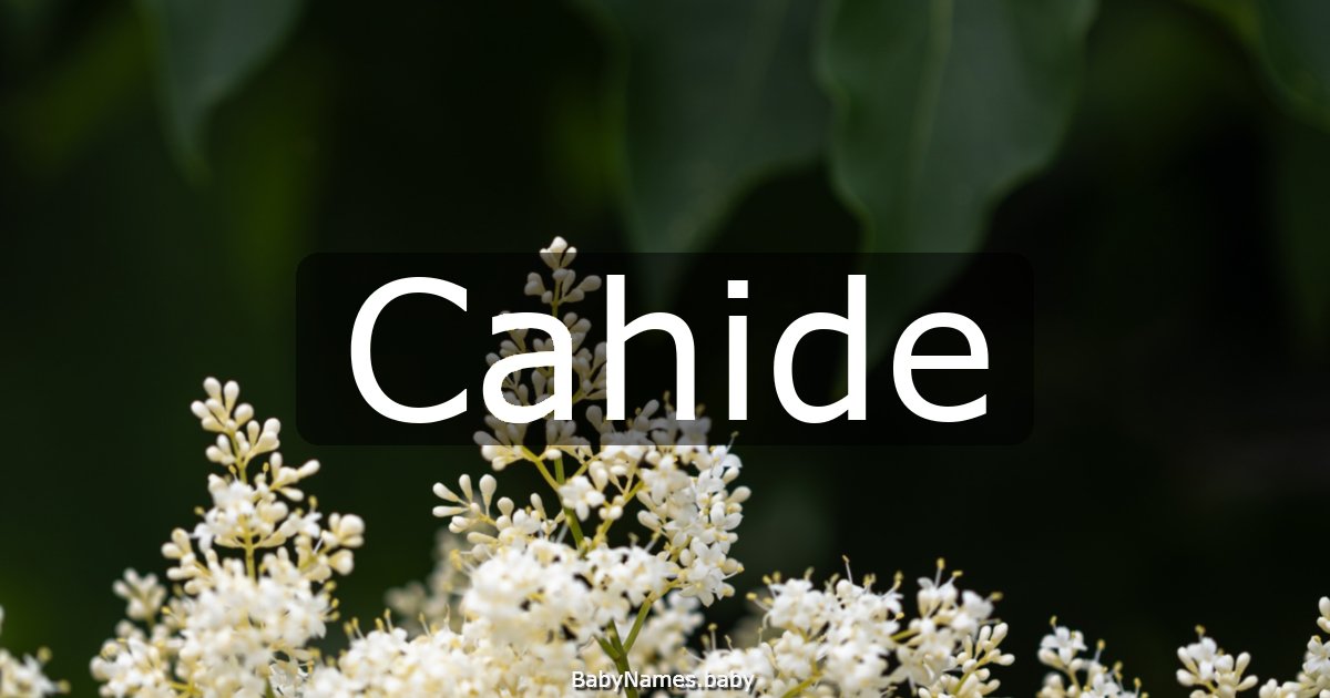 Cahide