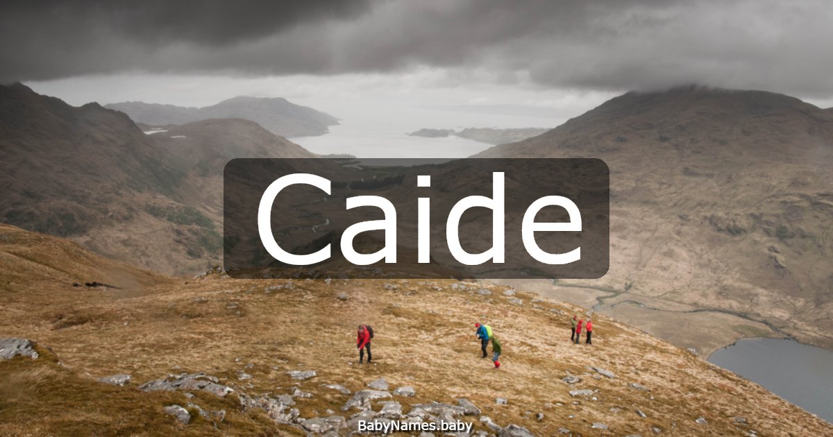 Caide
