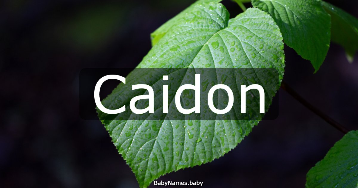 Caidon