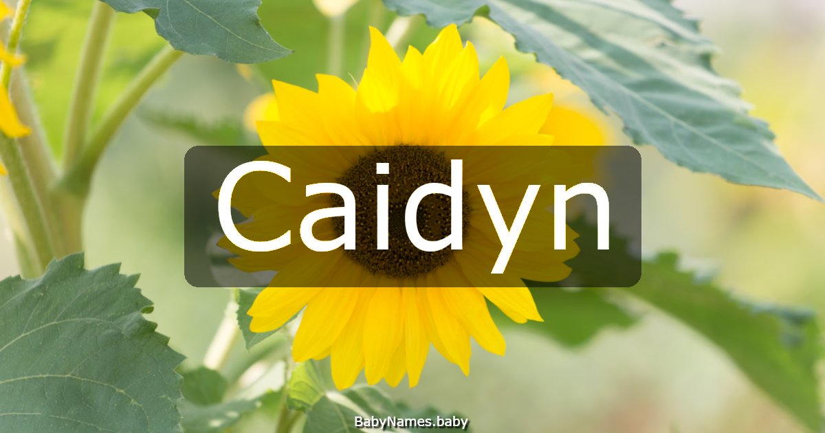 Caidyn