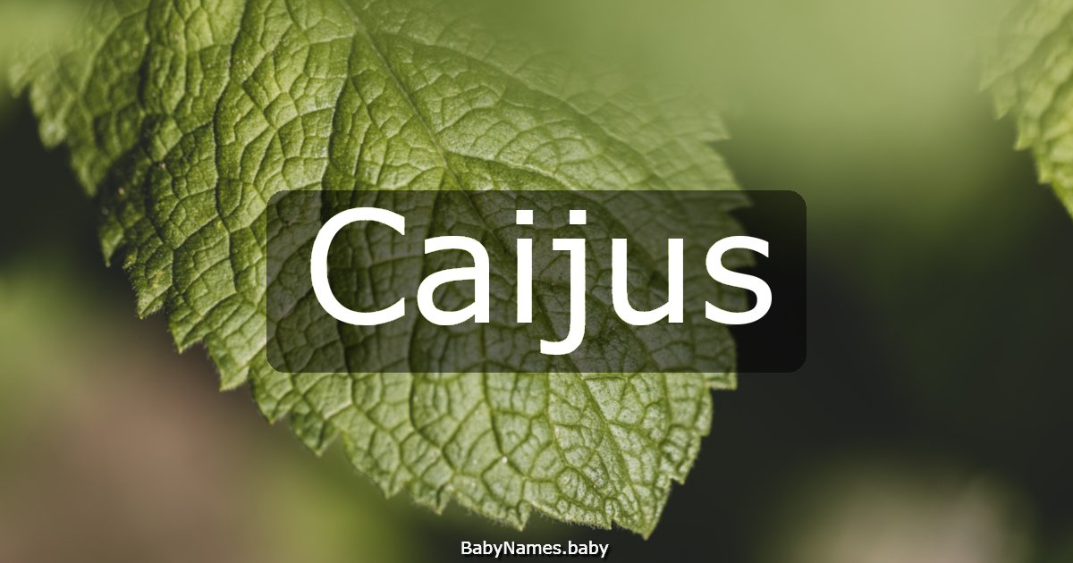 Caijus