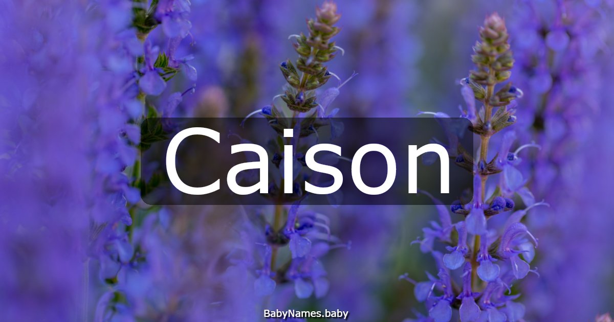 Caison